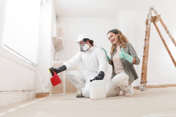 Best Mold Remediation for Vacation Homes  in USA